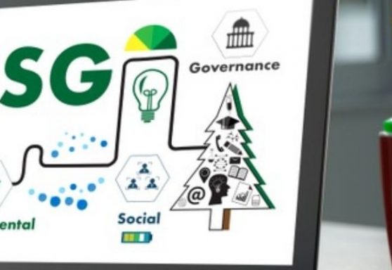 Como o ESG e uma Comunicação Integrada podem criar valor às marcas