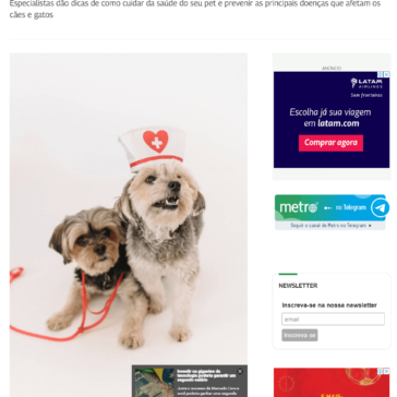 Setembro Lilás e a prevenção do câncer em pets – Metro Jornal