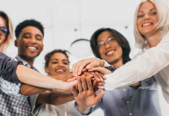 4 Contribuições da Rede de Multiplicadores para as Organizações