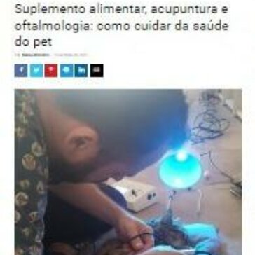 Suplemento alimentar, acupuntura e oftalmologia: como cuidar da saúde do pet- Guarulhos Hoje