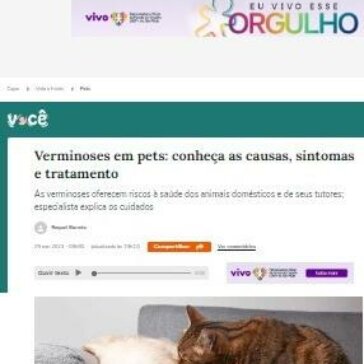 Verminoses em pets: conheça as causas, sintomas e tratamento – Terra