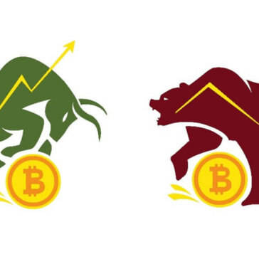 Bull Market e Bear Market: É possível investir nos dois?