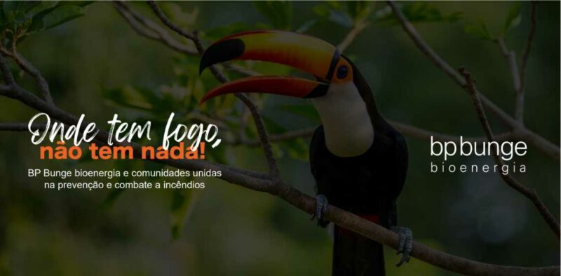 bp-bunge-campanha-contra-incendios