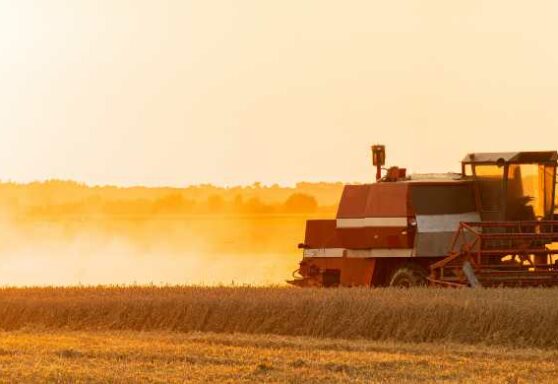 Assessoria de Imprensa no Agronegócio: desafios e soluções para o setor